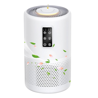 Air Purifiers for Home with HEPA Filter, Timer, and LED Night Light