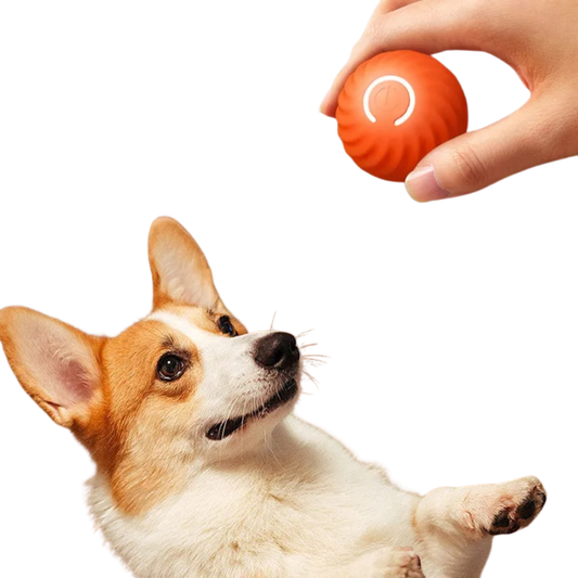 Interactive Bouncing Dog Toy USB Rechargeable Smart Ball