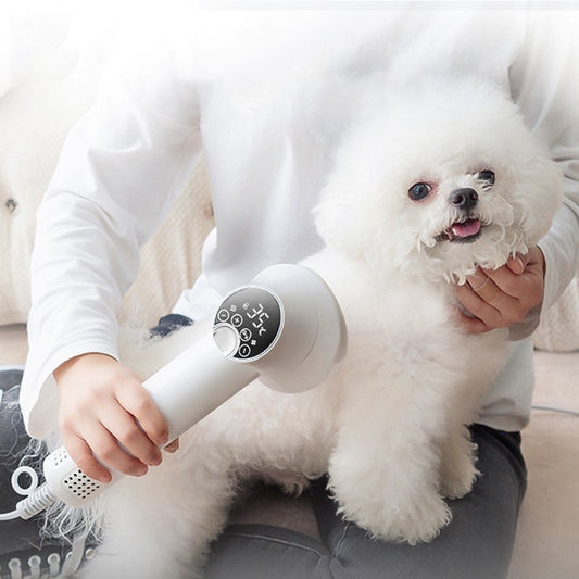 Pet Hair Dryer Grooming Brush for Dogs and Cats, Silent